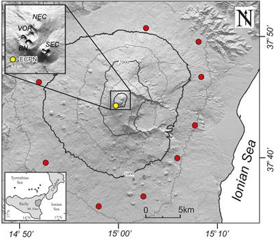 Coupling Between Magmatic Degassing and Volcanic Tremor in Basaltic Volcanism